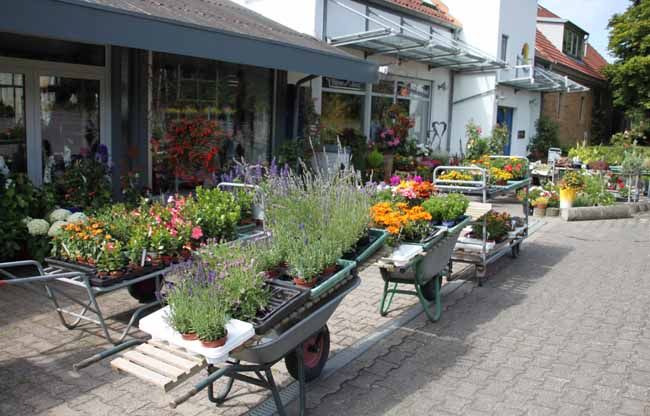 Gutenbrunnenstr. 6, 67806 Rockenhausen